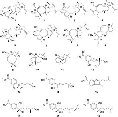 Significance of research on natural products from marine-derived Aspergillus species as a source against pathogenic bacteria